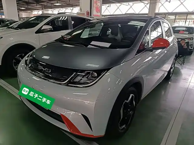 BYD Dolphin