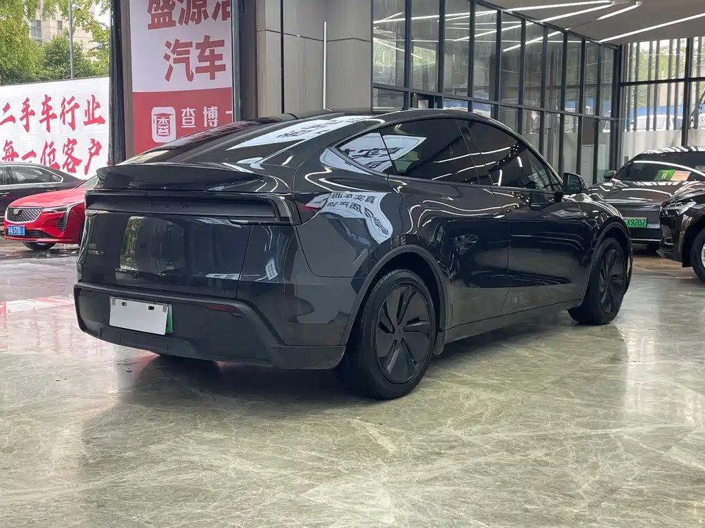 Tesla Model Y — миниатюра 7