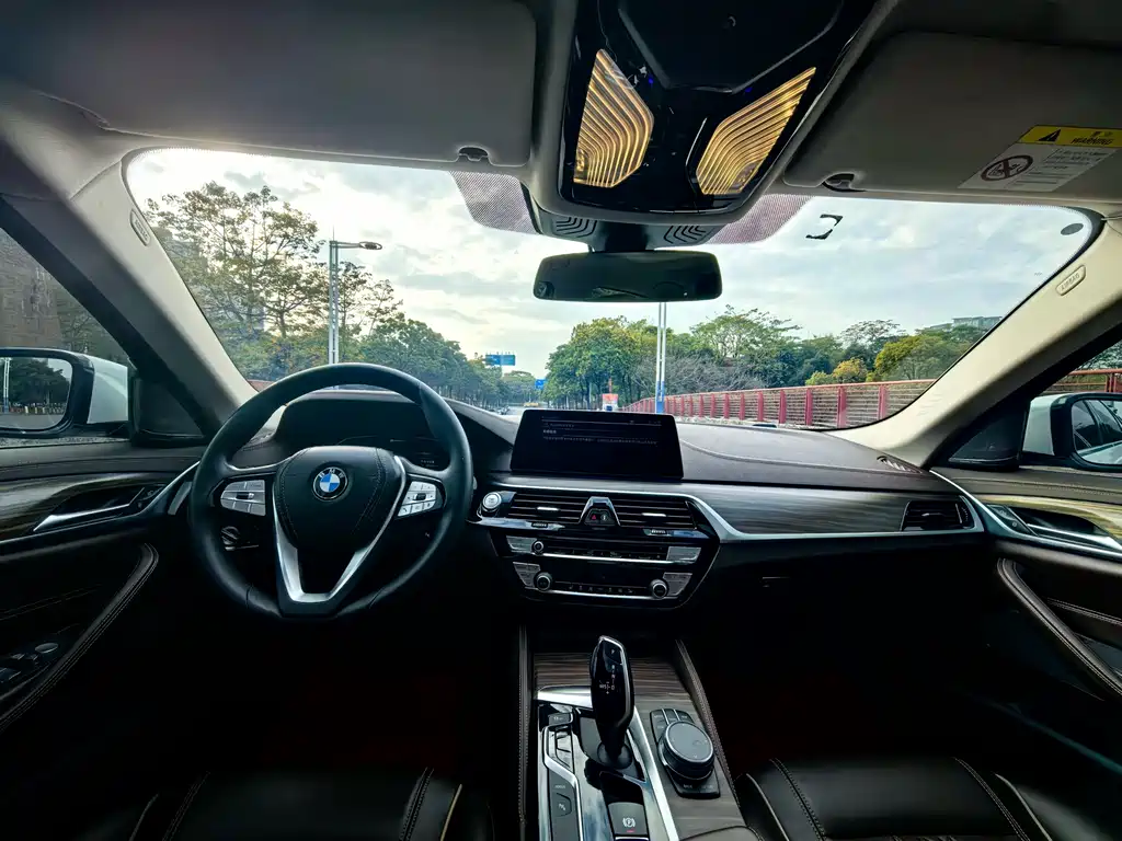 BMW 5 SERIES NEW ENERGY