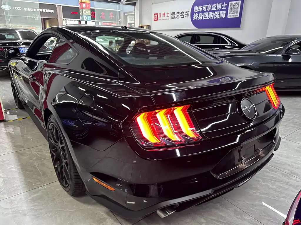 Ford Mustang — миниатюра 11