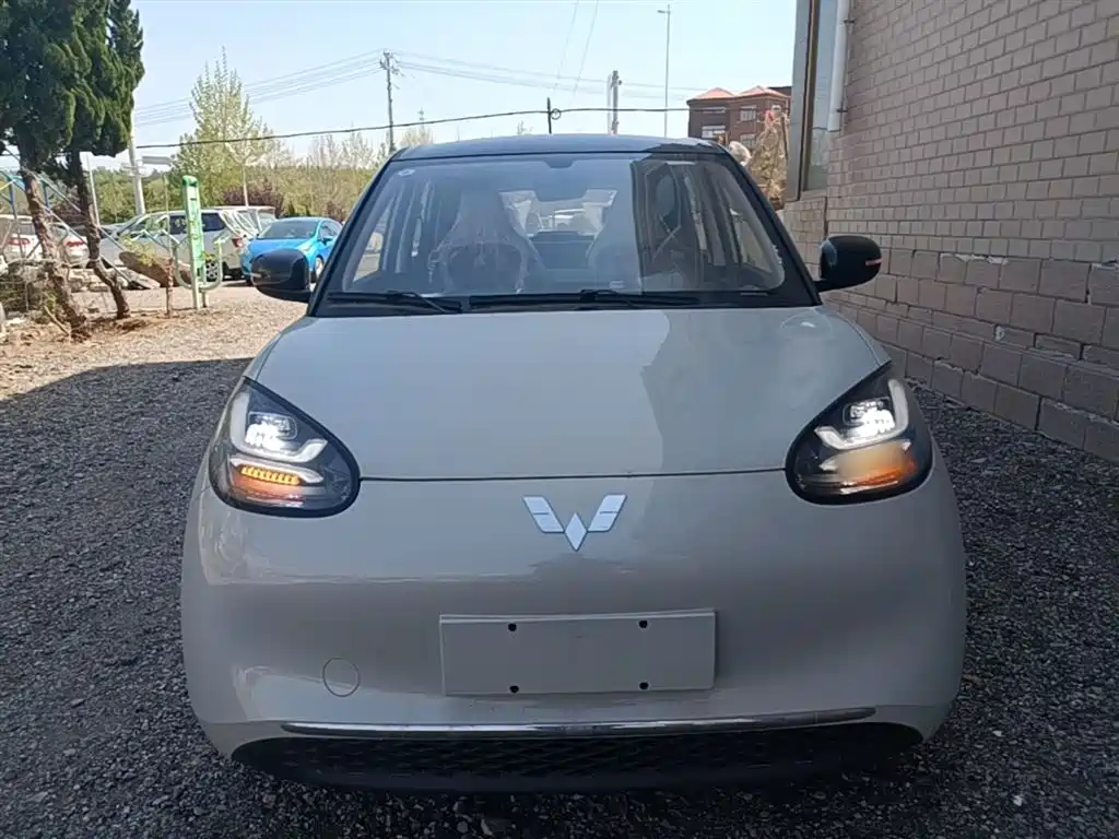 Wuling Binguo 2025 333km