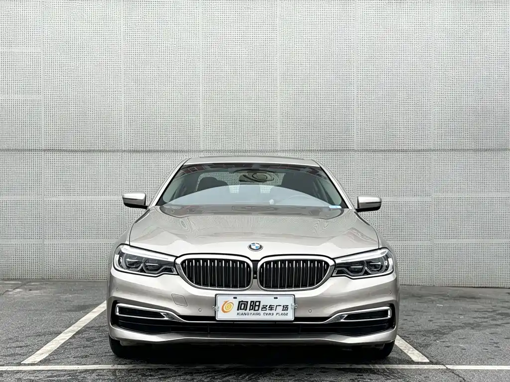 BMW 5 Series — миниатюра 2