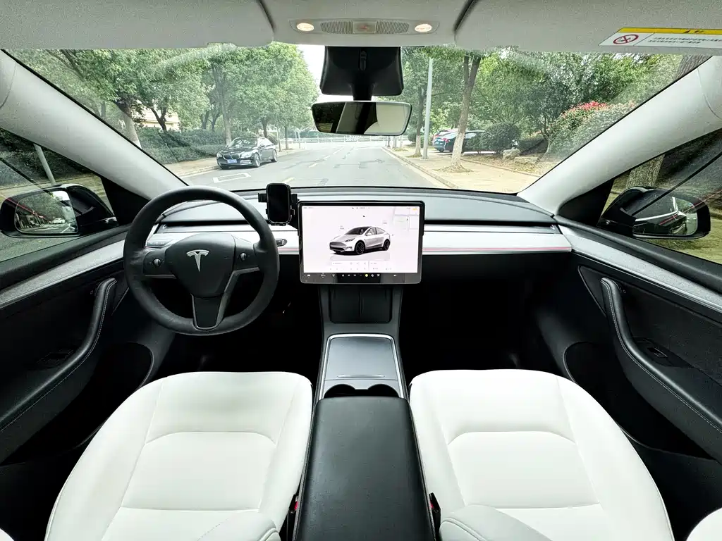 Tesla Model Y — миниатюра 11