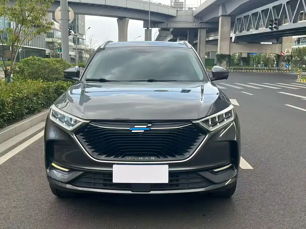 Oshan Oushang X7 — миниатюра 2
