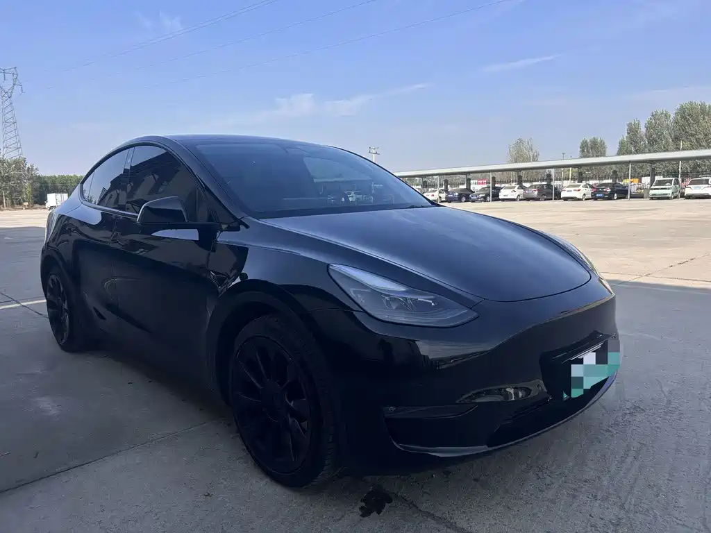 Tesla Model Y — миниатюра 3