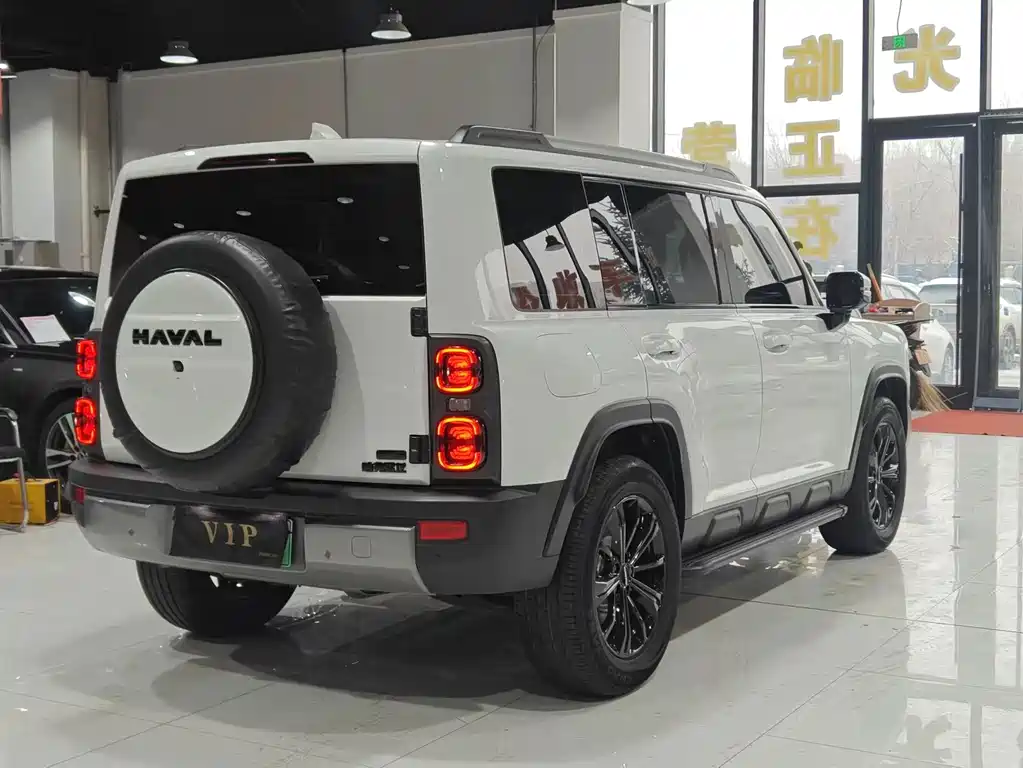 HAVAL RAPTORS NEW ENERGY
