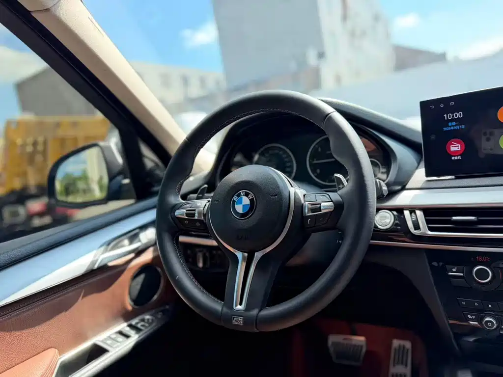 BMW X5 (Import) — миниатюра 9