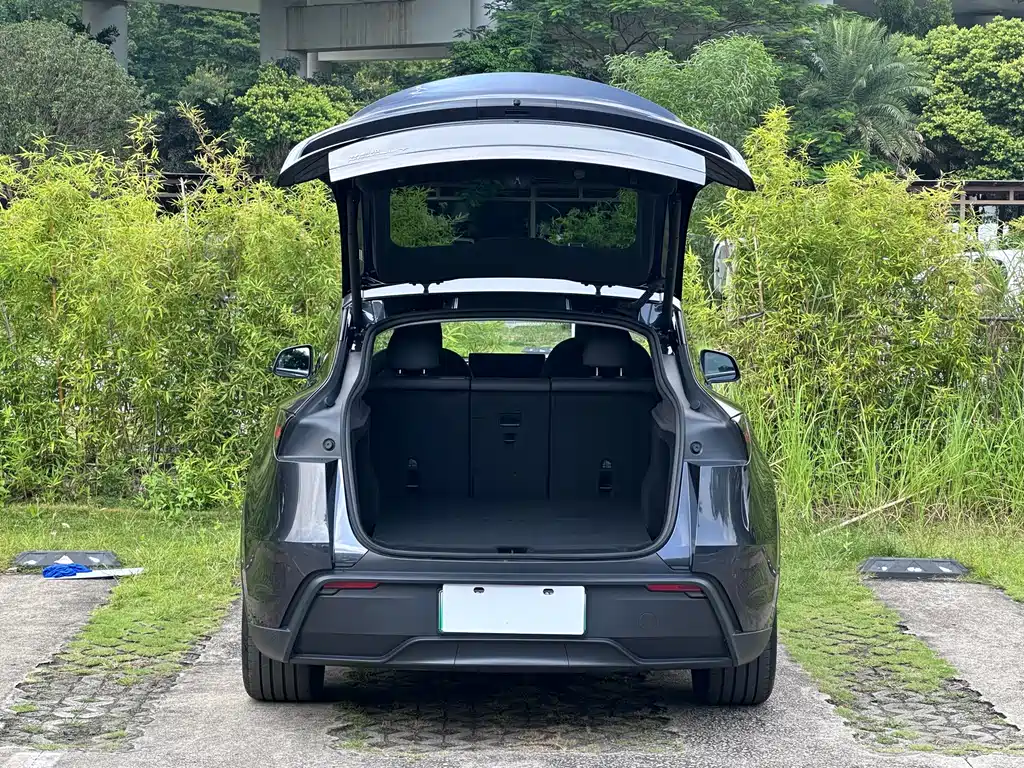 Tesla Model Y — миниатюра 7