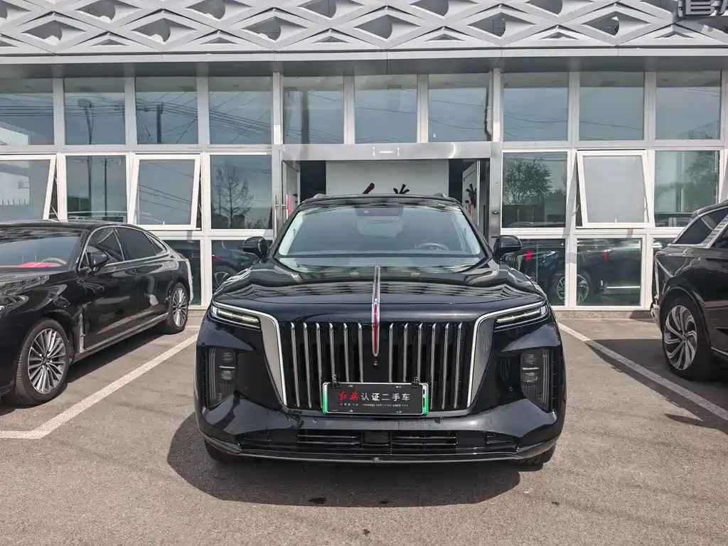Hongqi HONGQI E HS9
