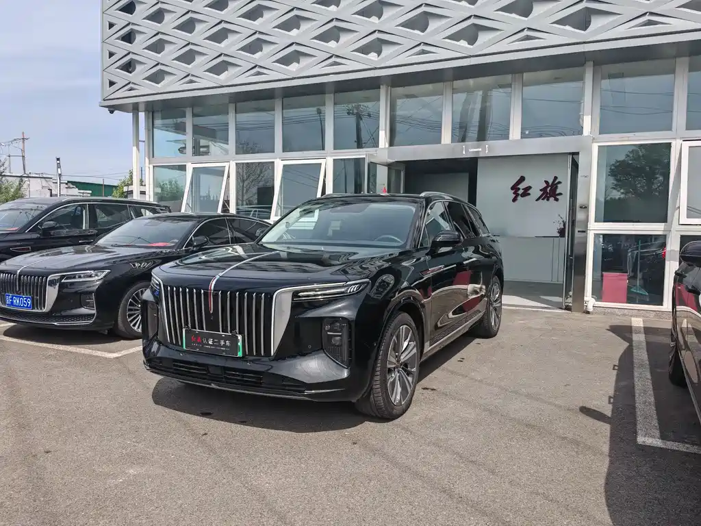 Hongqi HONGQI E HS9