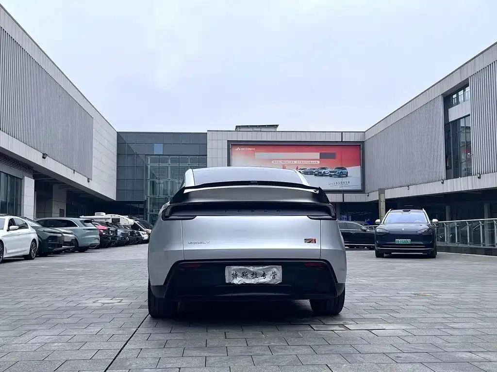 Tesla Model Y — миниатюра 5