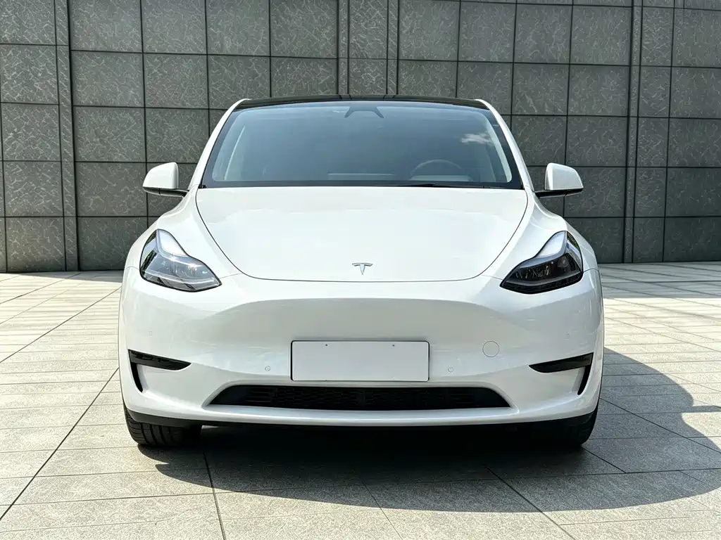 Tesla Model Y — миниатюра 2