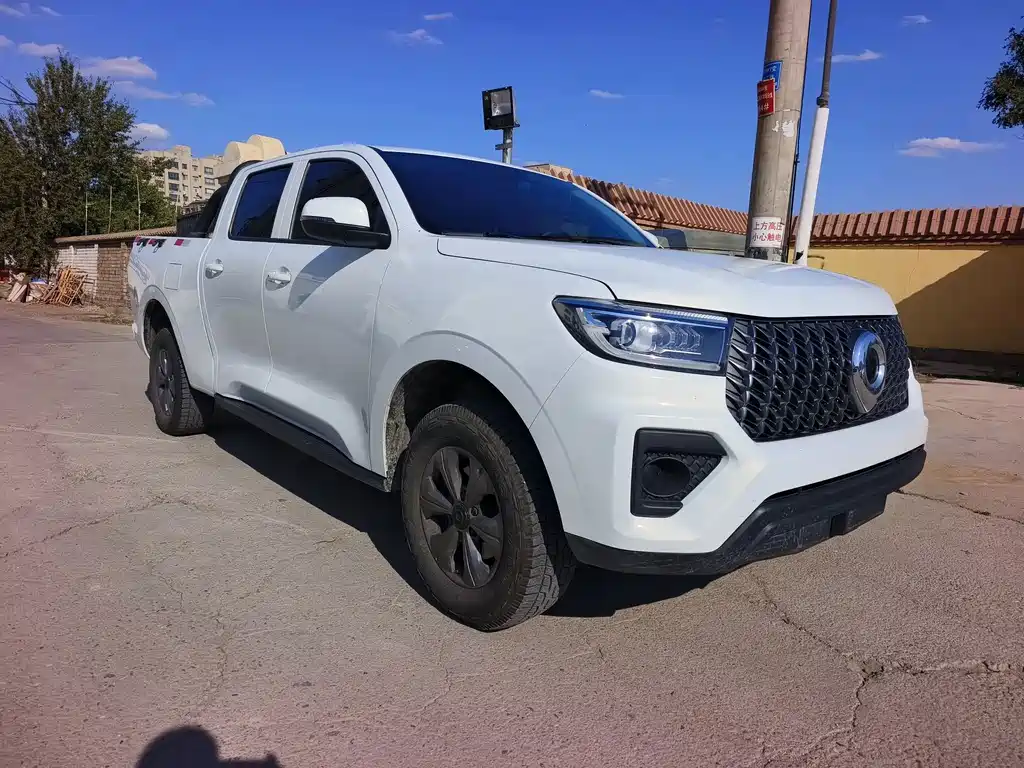 Great Wall Pao — миниатюра 3