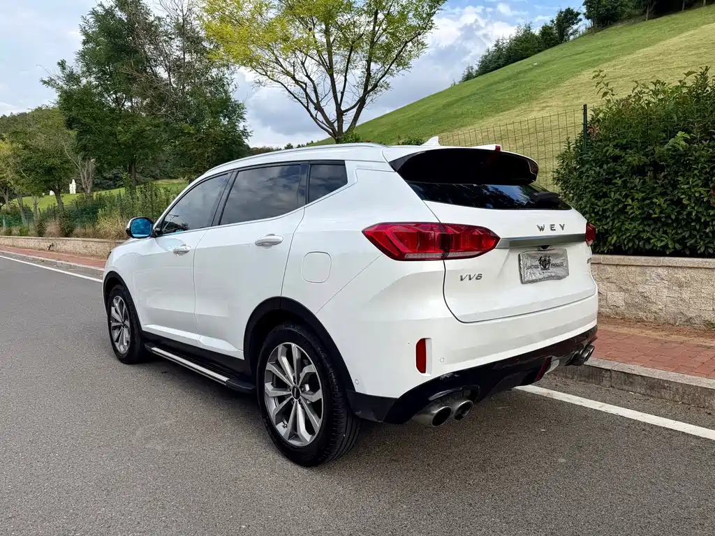 Wey Wey VV6 — миниатюра 6