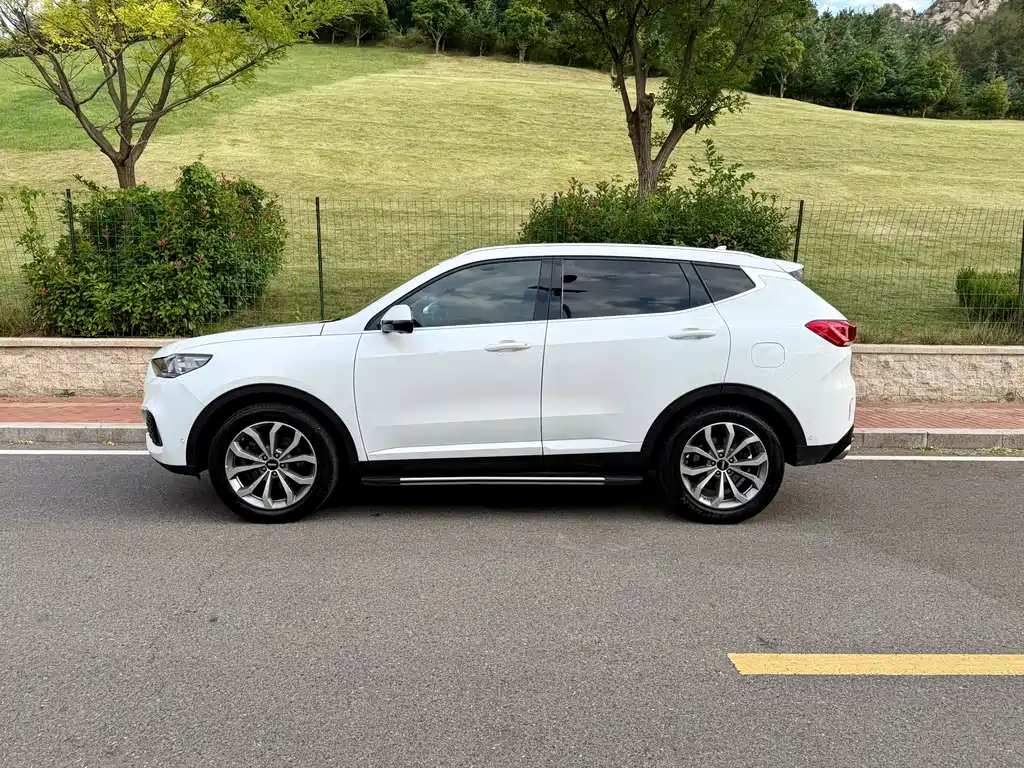 Wey Wey VV6 — миниатюра 7