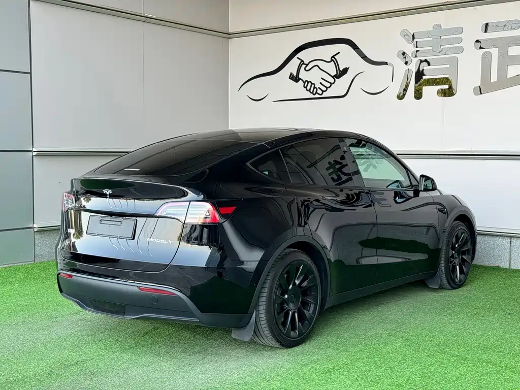 Tesla Model Y — миниатюра 15