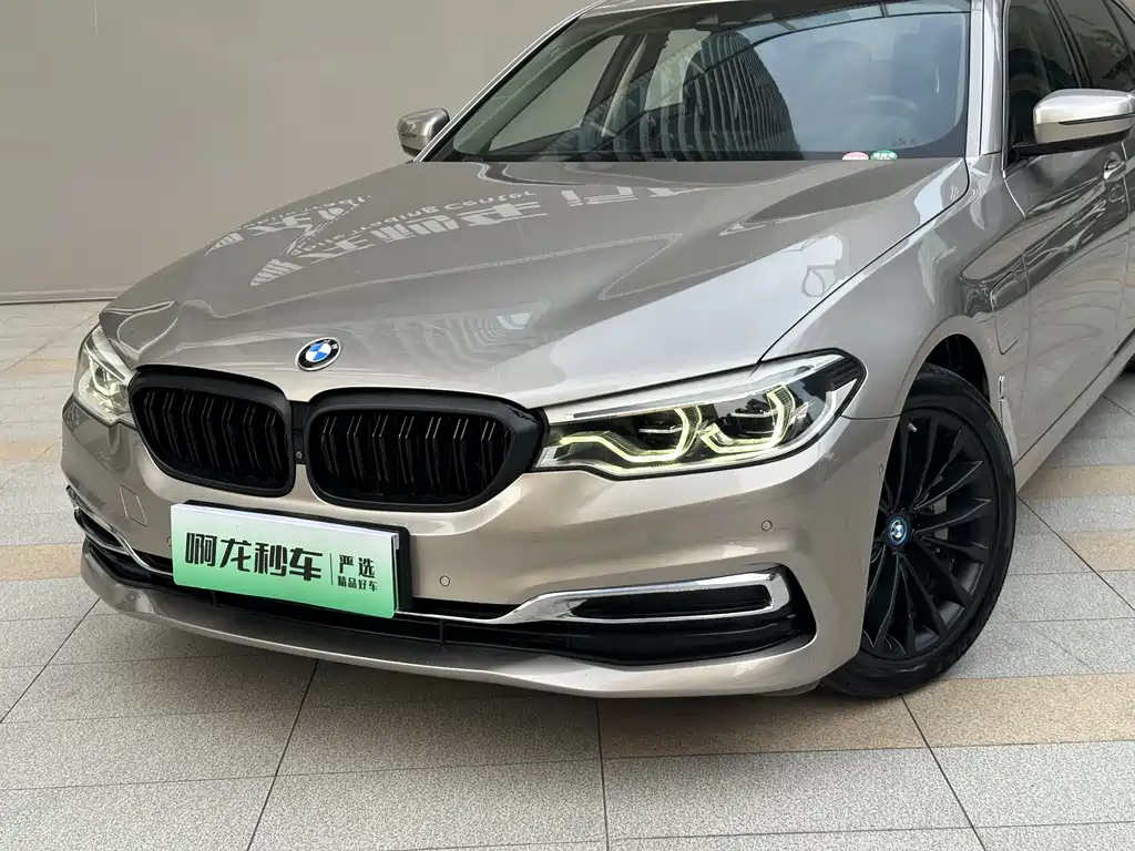 BMW 5 Series 5 2019 530Le Luxury