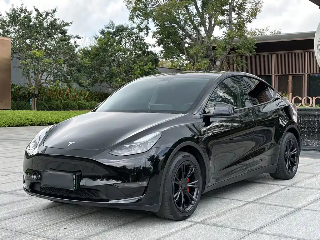 Tesla Model Y — миниатюра 2