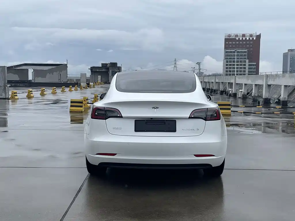 Tesla Model 3 — миниатюра 5