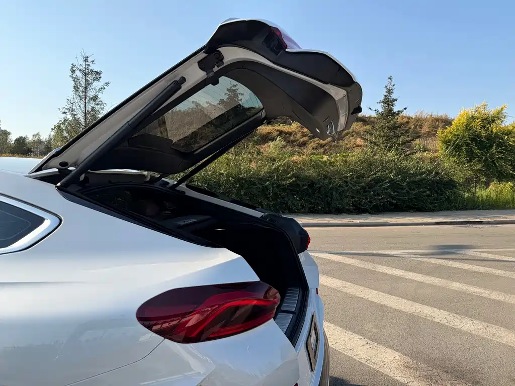 BMW X6 — миниатюра 21