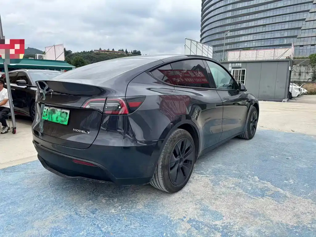 Tesla Model Y — миниатюра 9