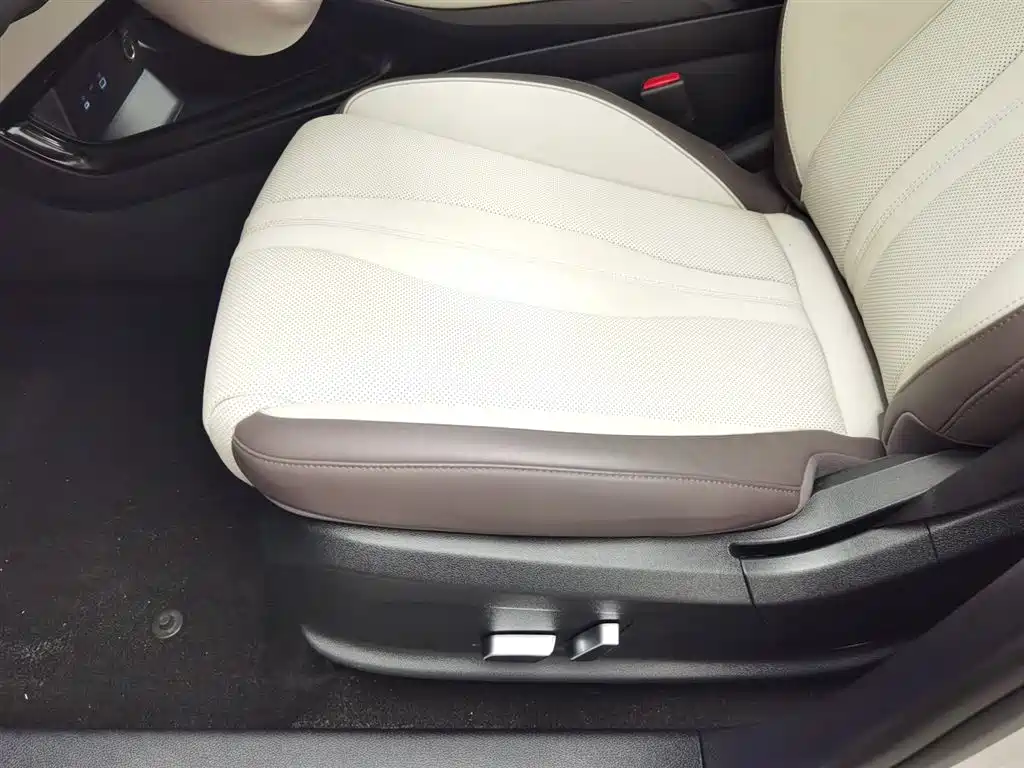 BYD SONGJIANG NEW ENERGY