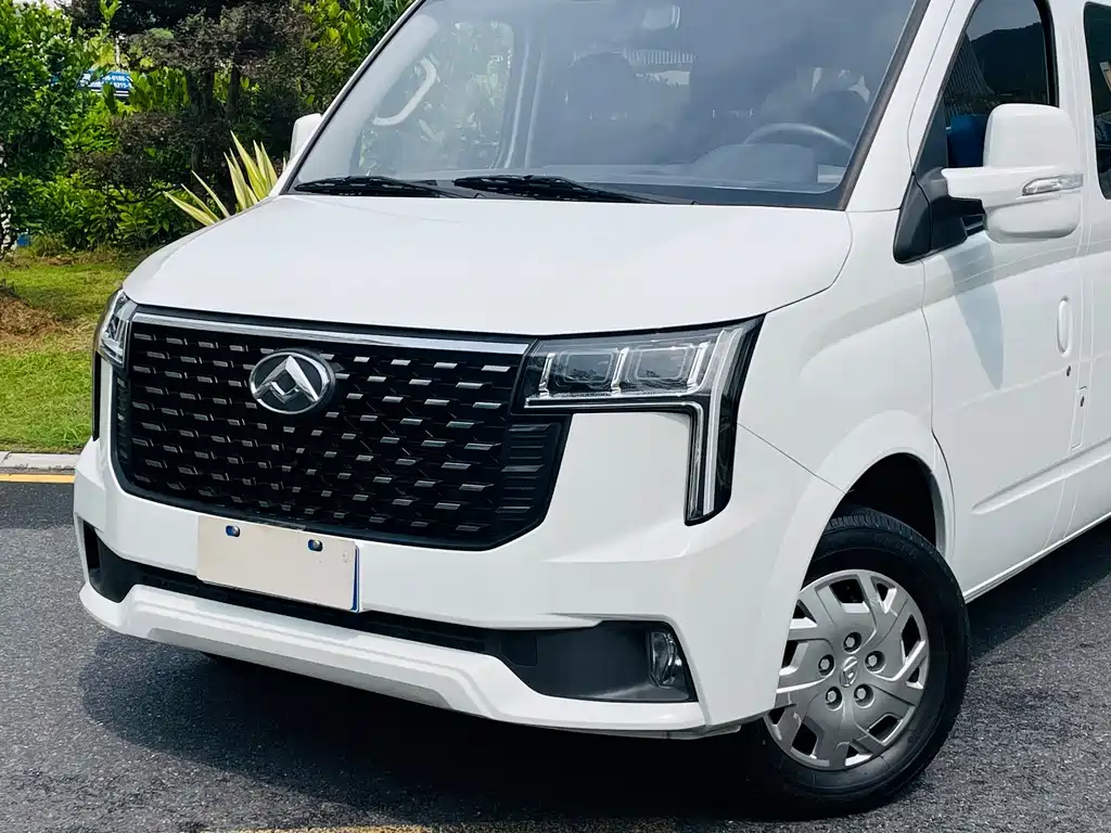 MAXUS V80 — миниатюра 20