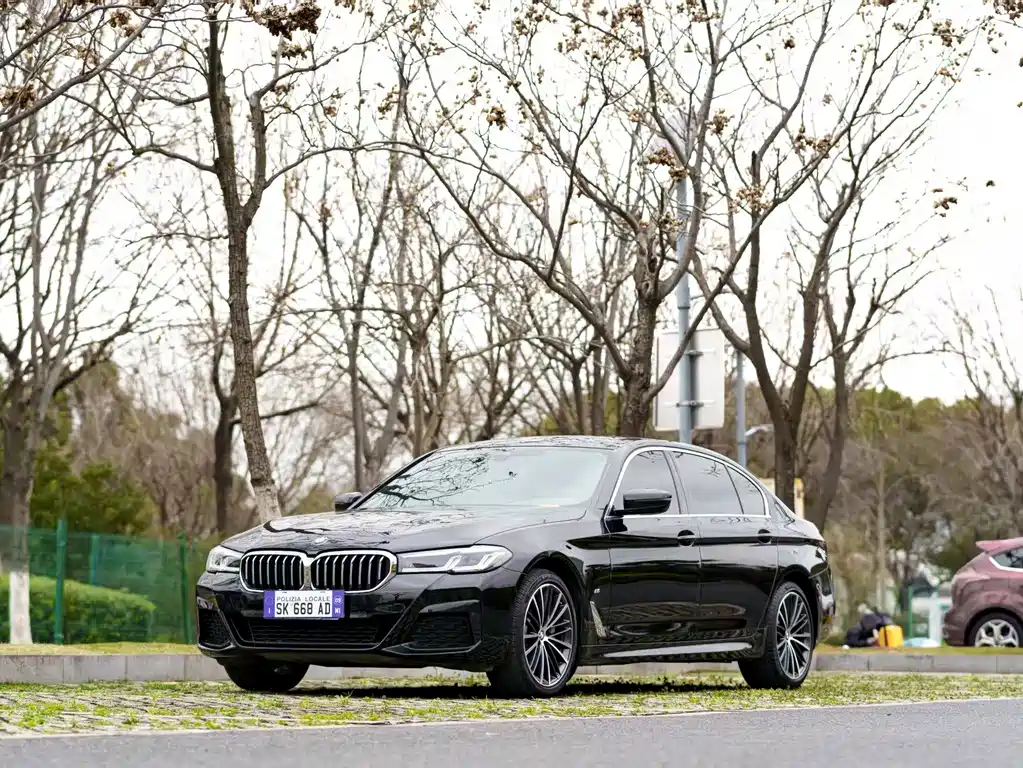 BMW 5 SERIES