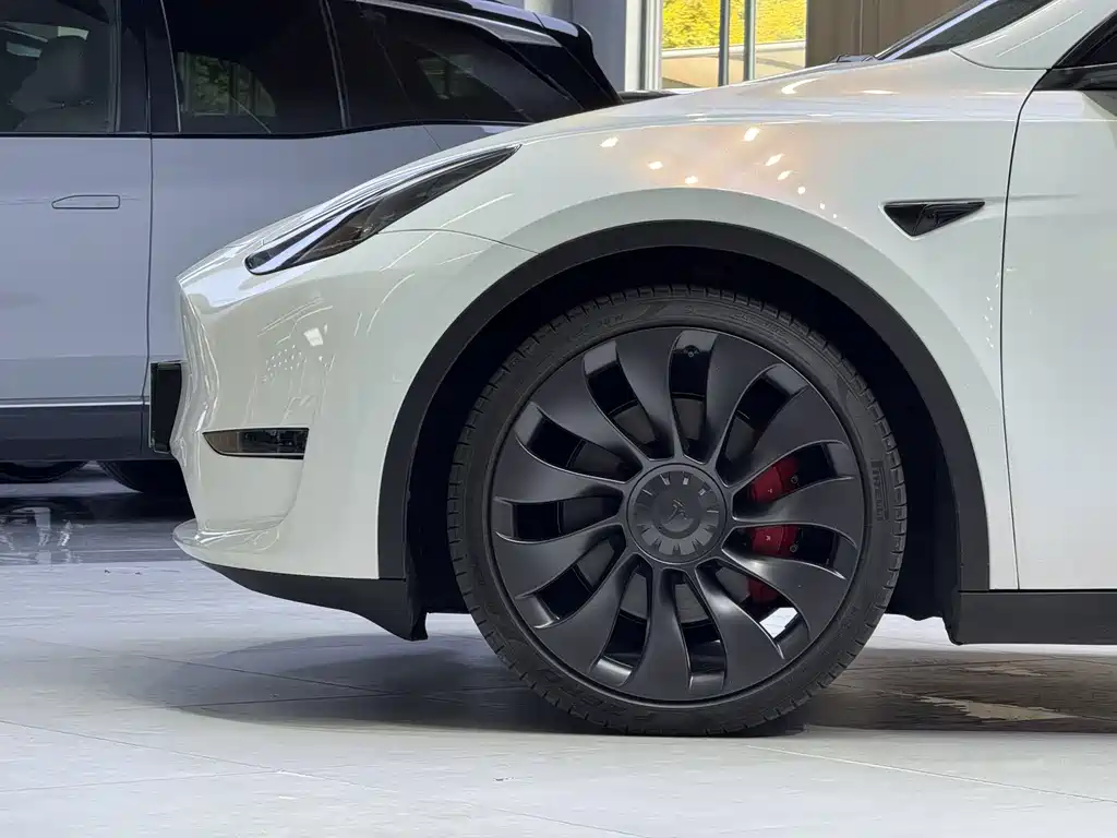 Tesla Model Y — миниатюра 5
