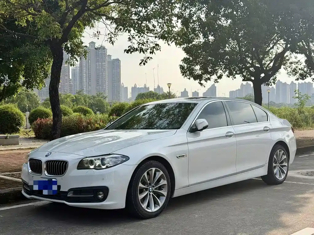 BMW 5 Series 5 2017 525Li Lead