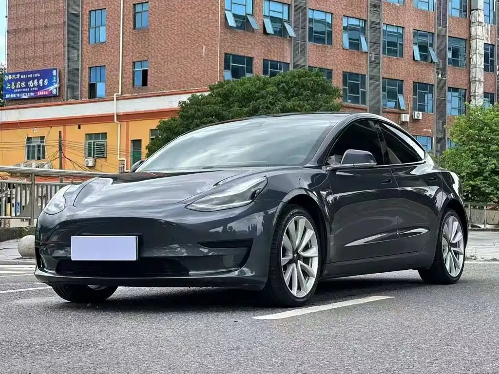 Tesla Model 3 2021 3D6