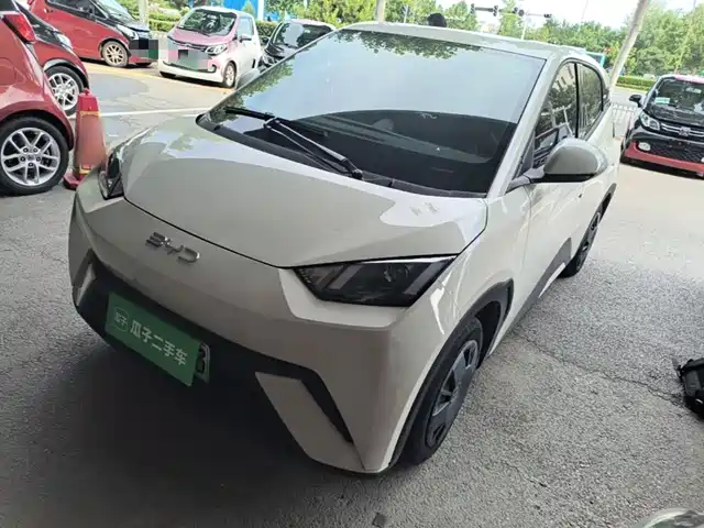 2024 BYD Seagull