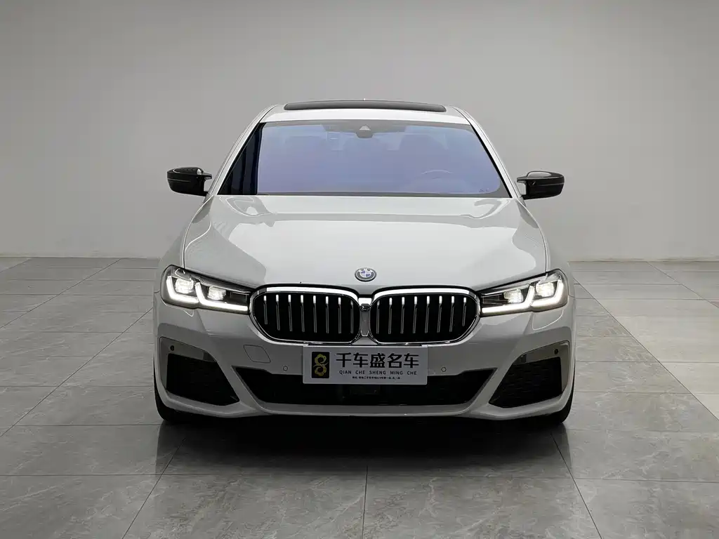 BMW 5 Series New Energy — миниатюра 2