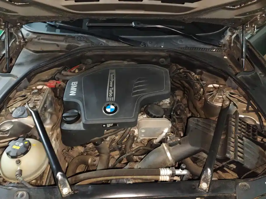 BMW 5 Series 5 2017 525Li Lead