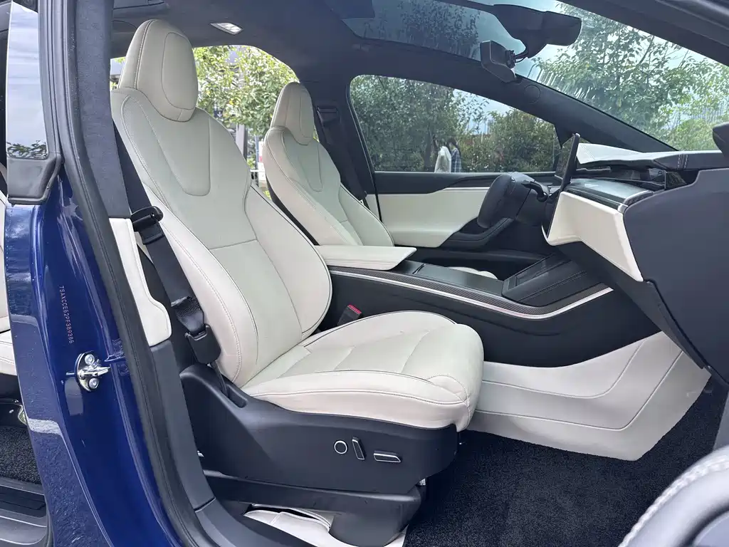 Tesla Model X — миниатюра 18