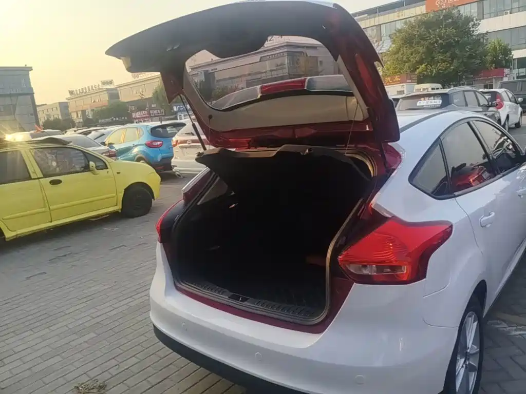 Ford Focus — миниатюра 19