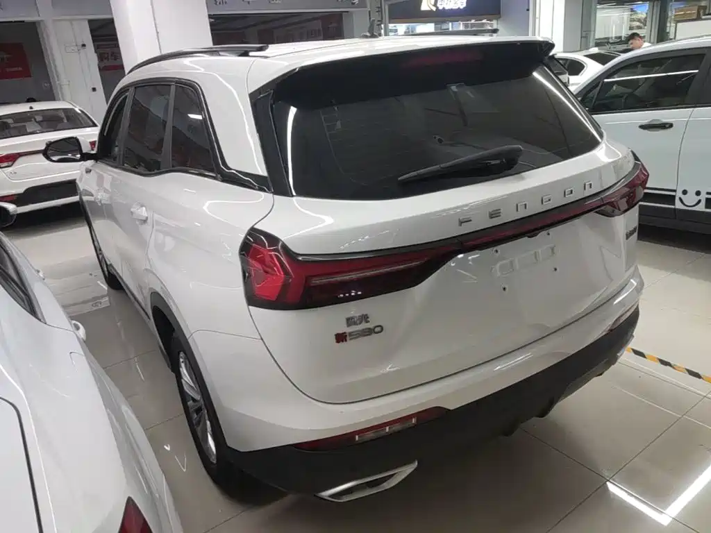 Fengguang Fengguang 580 — миниатюра 5