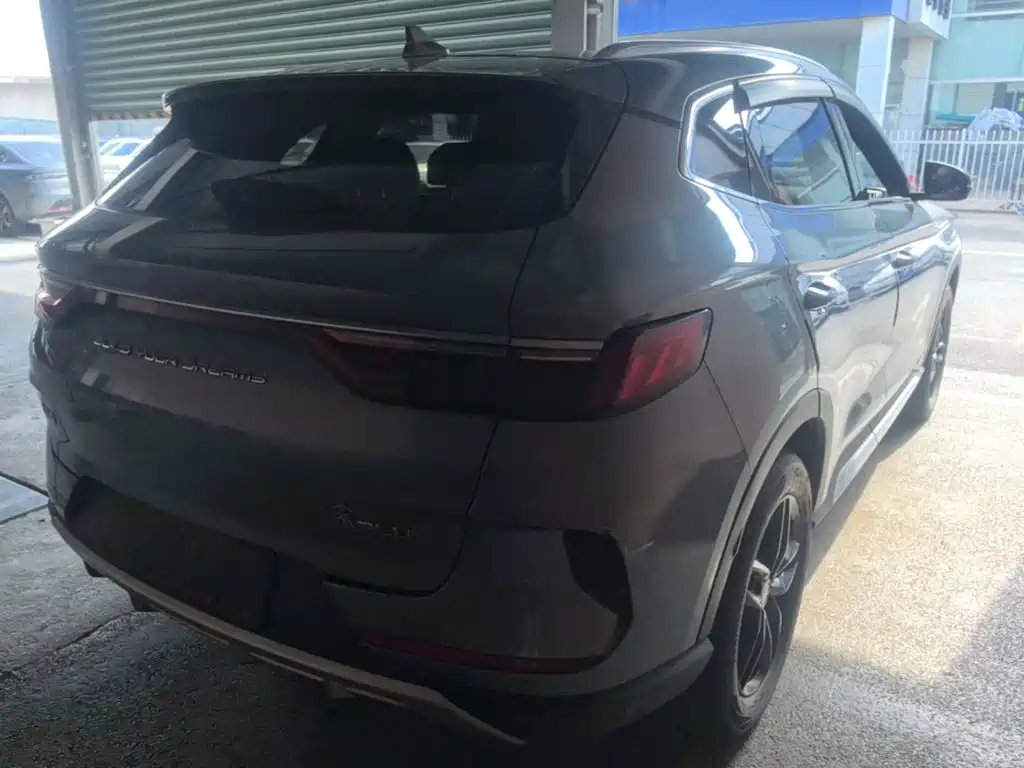 BYD PLUS — миниатюра 7