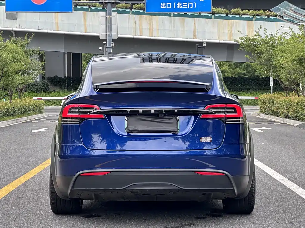 Tesla Model X — миниатюра 23