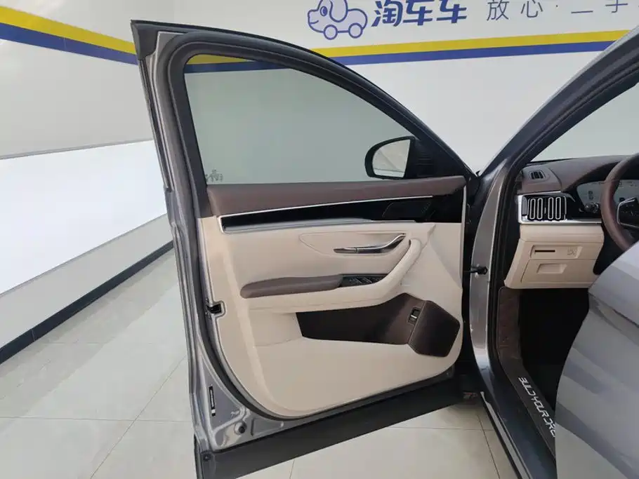 BYD PLUS New Energy — миниатюра 7