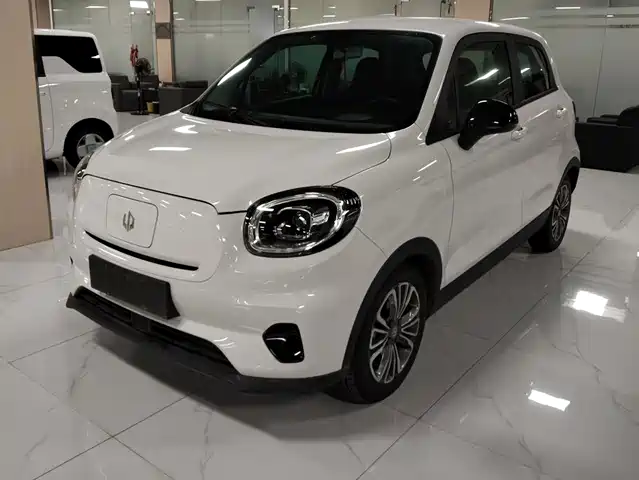 2021 Leapmotor T03