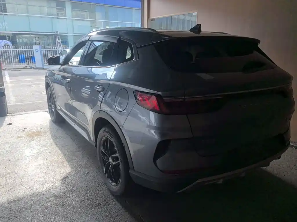 BYD PLUS — миниатюра 5