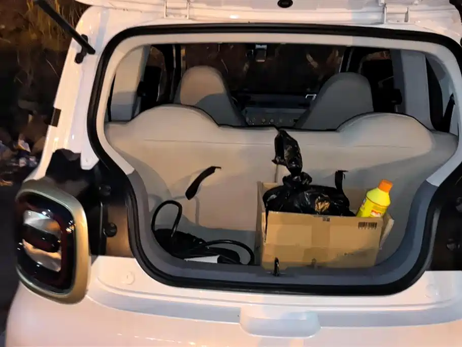 BESTUNE PENTIUM PONY