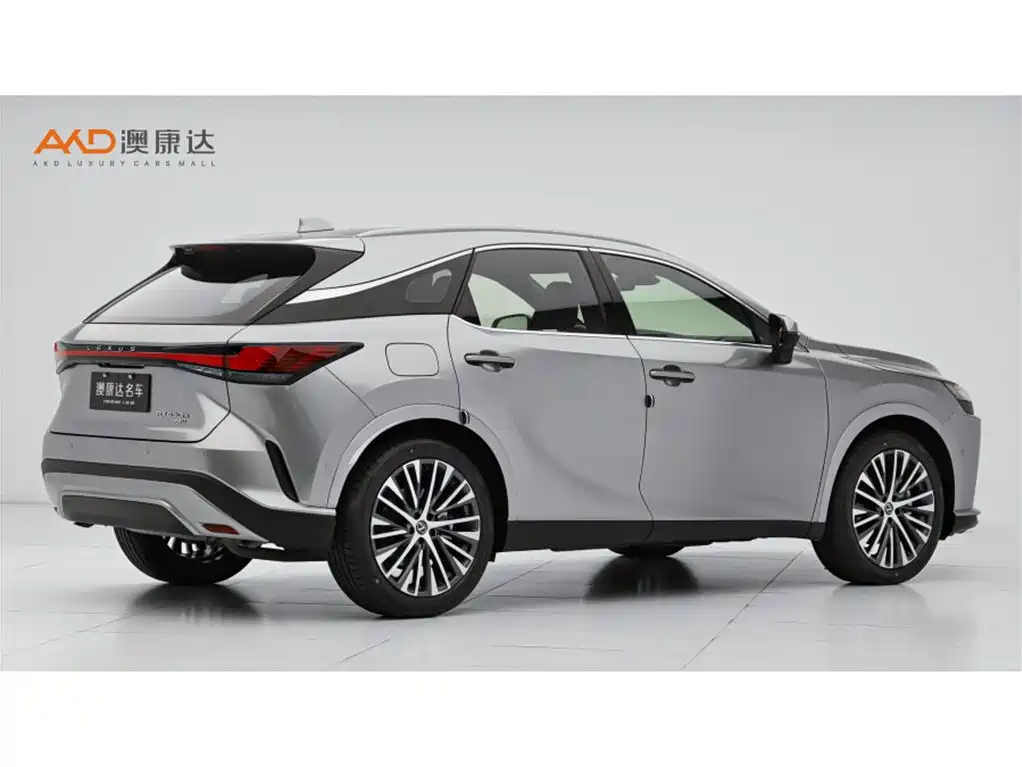 LEXUS RX NEW ENERGY