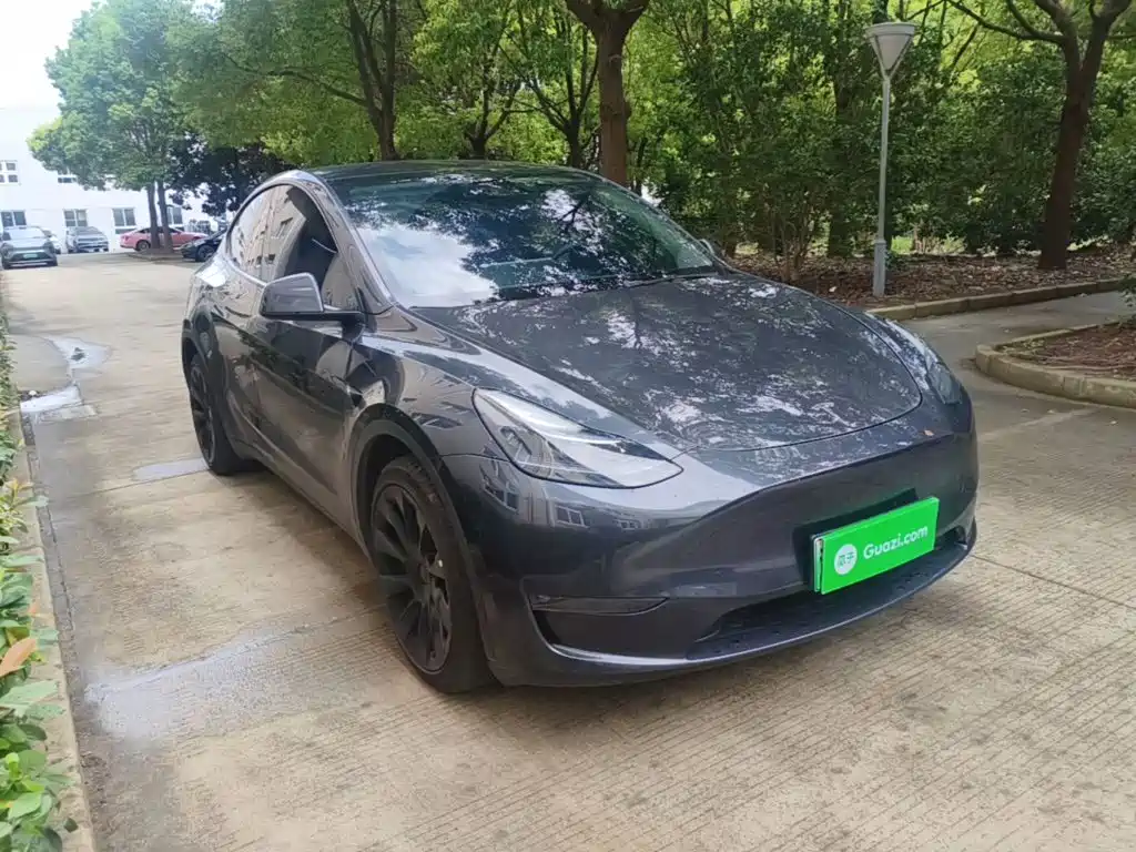 Tesla Model Y — миниатюра 4