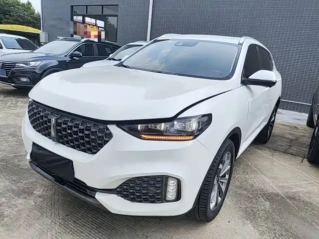 2019 Wey VV6