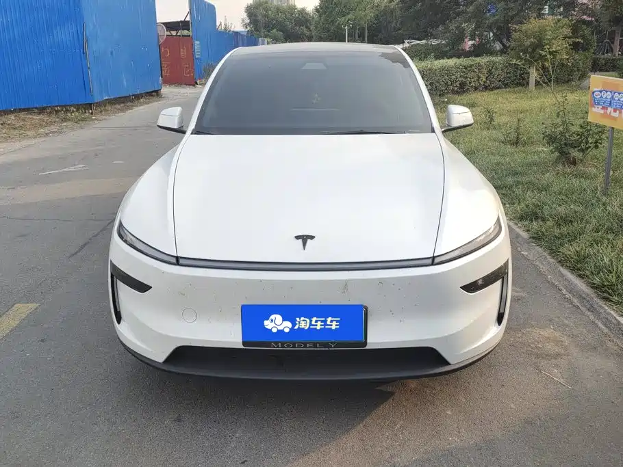 Tesla Model Y — миниатюра 2
