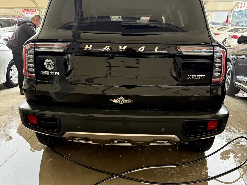 HAVAL BIG DOG