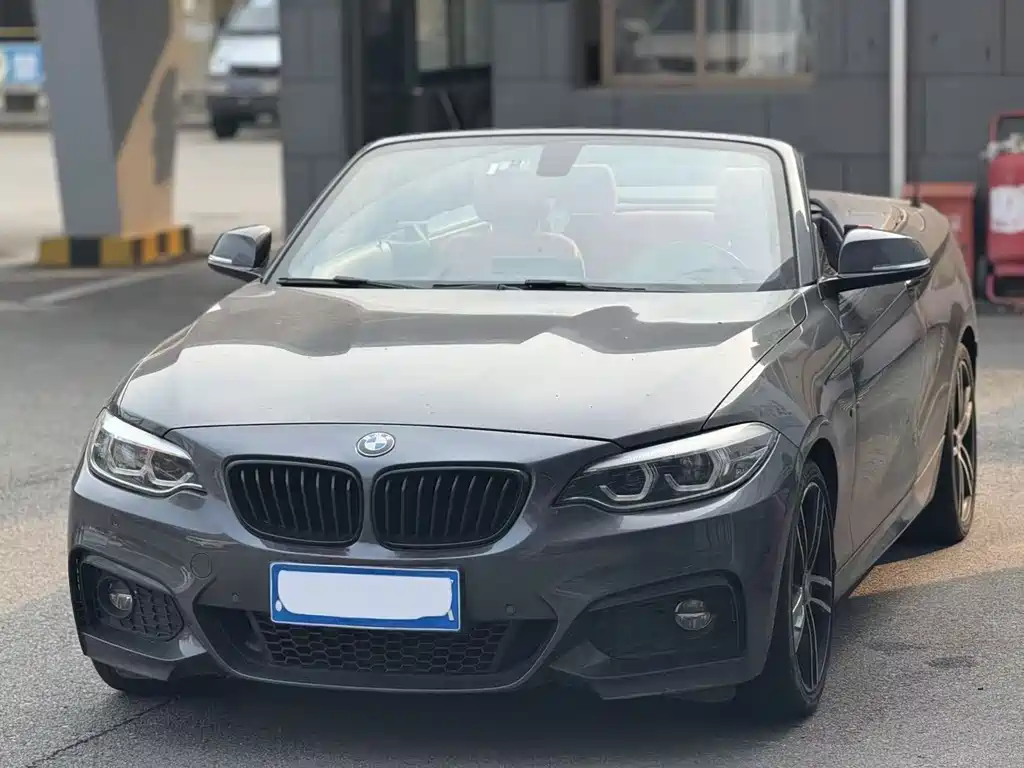 BMW 2 Series (Import) 2020