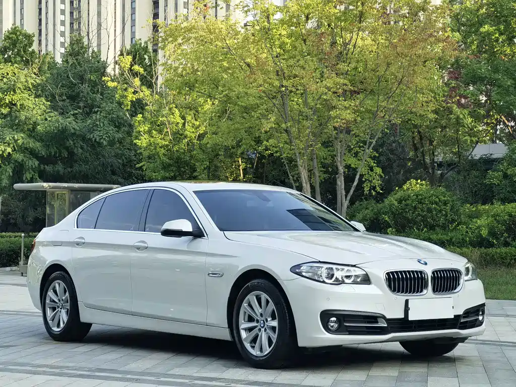 BMW 5 Series — миниатюра 3